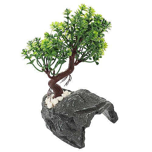 HAPINARY Schildkrötenversteck Im BAU, Reptilienversteck, Höhle, Reptiliendekor, Haustierbedarf, Höhle Für Kleine Haustiere, Eidechsenversteck, Schildkrötenversteck, Höhle, Dekoratives HAPINARY Schildkrötenversteck Im BAU, Reptilienversteck, Höhle, Reptiliendekor, Haustierbedarf, Höhle Für Kleine Haustiere, Eidechsenversteck, Schildkrötenversteck, Höhle, Dekoratives von HAPINARY