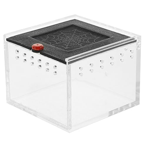 HAPINARY Terrarienbehälter Reptilien Terrarienzubehör Klarsicht Futterboxen Klarsicht Reptilienbehälter Tierbehälter Futterboxen Für Reptilien Tierbehälter Für Reptilien Echsenbecken von HAPINARY