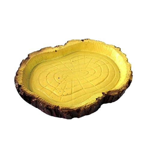 HAPINARY Futterschale Für Schildkröten Reptilien Futter Behälter Terrarium Haustier Nahrung Spender Eidechsen Gecko Schlangen Futterbecken Zubehör HAPINARY Futterschale Für Schildkröten Reptilien Futter Behälter Terrarium Haustier Nahrung Spender Eidechsen Gecko Schlangen Futterbecken Zubehör von HAPINARY