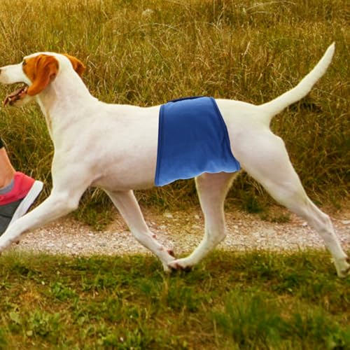 HAPINARY Wiederverwendbare Hundewindel Rüden Bauchband mit Doppelseitigem Wasserdichtem und Saugfähiger Atmungsaktiv Bequem für Training Inkontinenz Welpen und Ältere Hunde Einfach an von HAPINARY