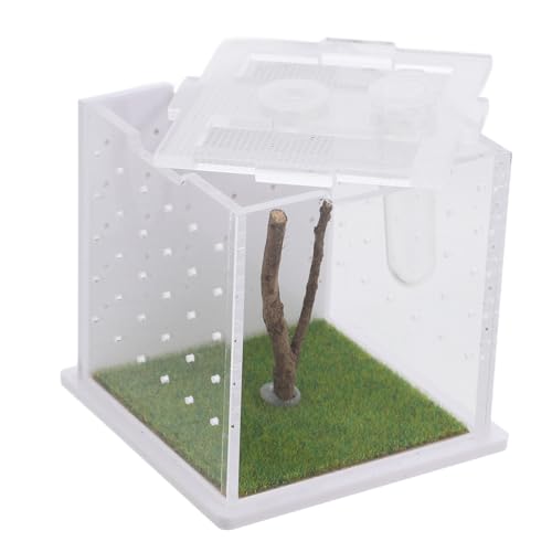 HAPINARY Zuchtbox für Springspinnen Spinnenbehälter Terrarien für Reptilien Gehege für Springspinnen Zubehör für Springspinnen Lebensraum für Insektenspinnen Terrarien Gehege für von HAPINARY