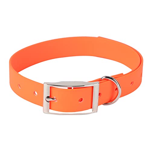HAPINARY Hundehalsband Aus Rindsleder Verstellbar Für Kleine Und Mittelgroße Hunde Wasserdichtes Design Orange Farbe Geeignet Als Haustierhalsband Oder Welpenhalsband von HAPINARY