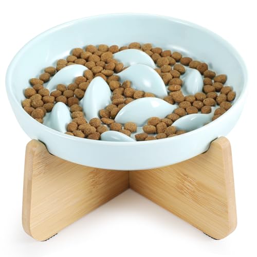 HAPPY HACHI Anti Schling Katzennapf Erhöht, Keramik Slow Feeder Katze Nassfutter, Langsam Fütterung Katze Futternapf rutschfest, Antischlingnapf für Katzen und Kleine Hunde (Grün) von HAPPY HACHI