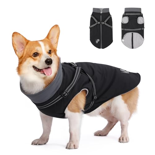 HAPPY HACHI Hundemantel Winter, Hundemantel Wasserdicht mit Geschirr, Reflektierender Streifen Design Haltbarer Doppelter D-Ring Hundejacke Kleine Hunde, S von HAPPY HACHI