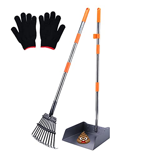 HAPPY HACHI Hundekotschaufel und Harke Set, Hundekotsammler mit verstallber Länge Griff, für große und kleine Hunde, Pooper Scooper mit Behälter zur Entfernung von Tierabfällen (S) HAPPY HACHI Hundekotschaufel und Harke Set, Hundekotsammler mit verstallber Länge Griff, für große und kleine Hunde, Pooper Scooper mit Behälter zur Entfernung von Tierabfällen (S) von HAPPY HACHI