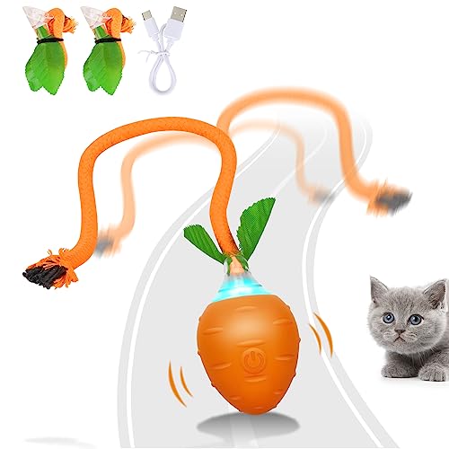 HAPPY HACHI Katzenspielzeug Selbstbeschäftigung, Interaktives Katzenspielzeug Ball mit USB Aufladbar, 3 Arbeitsmodi, Katzen Spielzeug mit Unregelmäßiger Bewegung von HAPPY HACHI