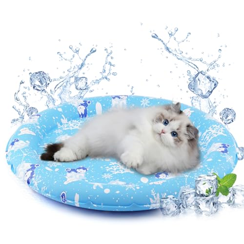 HAPPY HACHI Kühlmatte Hunde Katzen Rund 55CM, 30s Selbstkühlend Hundedecke Kühlend, Ungiftiges Gel kühlmatte für Katzen, Kühlmatte für Hunde im Sommer (Blaubär) HAPPY HACHI Kühlmatte Hunde Katzen Rund 55CM, 30s Selbstkühlend Hundedecke Kühlend, Ungiftiges Gel kühlmatte für Katzen, Kühlmatte für Hunde im Sommer (Blaubär) von HAPPY HACHI