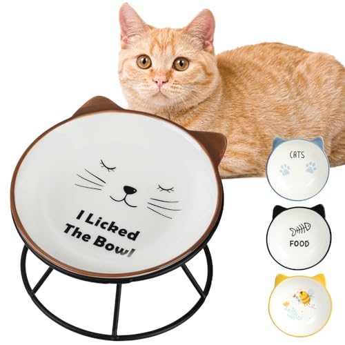 Katzennäpfe für Indoor-Katzen, rutschfester Silikonboden, Stahlregal, 14 cm, Katzenfutternapf, geneigt, Schnurrhaar, Katzenfutterbolzen-Set für die tägliche Katzenfütterung, Geschenkwahl Lickface von HAPPY KIT