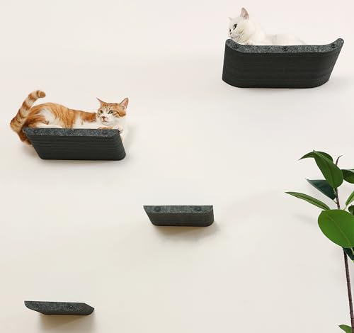 Katzen-Wandregale für innen, schalldichtes PET-Filz-Katzenmöbel-Set, kratzfeste Wandstange zum Klettern, Schlafen und Faulenzen (4er-Set, grau) von HAPYKITYS
