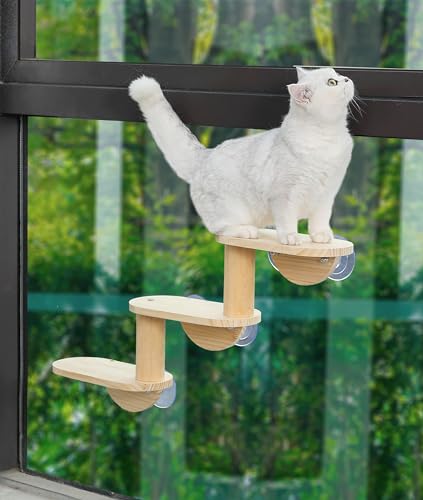 Katzen-Fensterleiter 3 Ebenen für Indoor Katzen Klettern Holz Fensterregal Katzen Spielen und Beobachten Vögel von HAPYKITYS