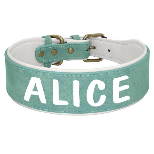 Breit gepolstertes Haustier-ID-Halsband, personalisierbar, PU-Leder, verstellbar, Anti-Verlust-Hundehalsband für mittelgroße bis große Hunde, C, XL Breit gepolstertes Haustier-ID-Halsband, personalisierbar, PU-Leder, verstellbar, Anti-Verlust-Hundehalsband für mittelgroße bis große Hunde, C, XL von HAQEPO