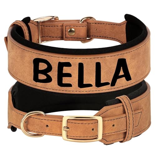 Breites Leder-Hundehalsband, personalisierbar, für Ausweis, Name, Telefonnummer, gepolstert, für Französische Bulldogge, Labrador, Deutscher Schäferhund, Braun, Größe M Breites Leder-Hundehalsband, personalisierbar, für Ausweis, Name, Telefonnummer, gepolstert, für Französische Bulldogge, Labrador, Deutscher Schäferhund, Braun, Größe M von HAQEPO