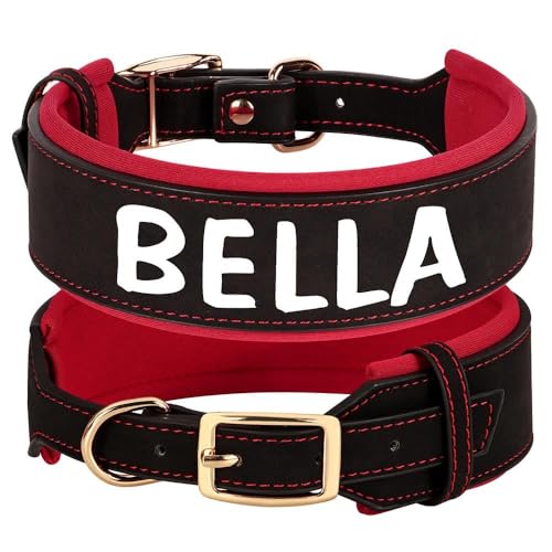 Breites Leder-Hundehalsband, personalisierbar, für Ausweis, Name, Telefonnummer, gepolstert, für Französische Bulldogge, Labrador, Deutscher Schäferhund, Schwarz, Größe M Breites Leder-Hundehalsband, personalisierbar, für Ausweis, Name, Telefonnummer, gepolstert, für Französische Bulldogge, Labrador, Deutscher Schäferhund, Schwarz, Größe M von HAQEPO