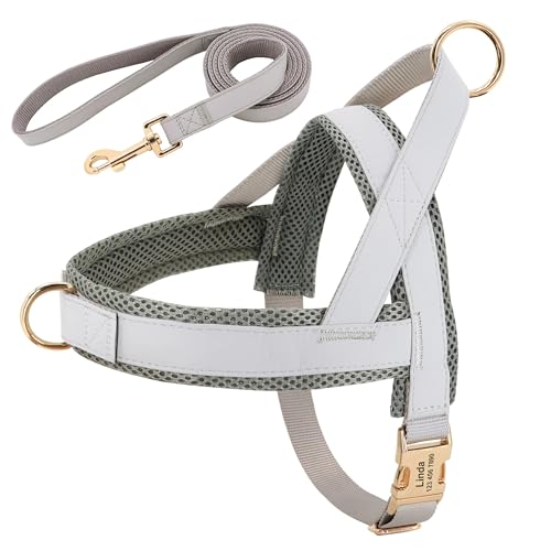Custom Anti-Lose Verstellbarer Nylonhund-Wandertraining Und Leine Für Labrador Französische Bulldogge Deutsche Schäferchen,GRAU,Xs Custom Anti-Lose Verstellbarer Nylonhund-Wandertraining Und Leine Für Labrador Französische Bulldogge Deutsche Schäferchen,GRAU,Xs von HAQEPO