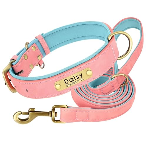 Custom Weiches Gepolstertes Leder Mit Namensschild Hundekragen Leineanzug Für Französische Bulldoggen Dackel Greyhound Beagle Shiba Inu,A,Xs Custom Weiches Gepolstertes Leder Mit Namensschild Hundekragen Leineanzug Für Französische Bulldoggen Dackel Greyhound Beagle Shiba Inu,A,Xs von HAQEPO