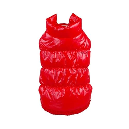 Einfarbige Daunenjacke Für Haustiere, Warme Winterkleidung Für Katzen Und Hunde, Wind- Und wasserdichte Outdoor-Haustierjacke Für Yorkshire Shih Tzu, Chihuahua, Mops,Rot,S Einfarbige Daunenjacke Für Haustiere, Warme Winterkleidung Für Katzen Und Hunde, Wind- Und wasserdichte Outdoor-Haustierjacke Für Yorkshire Shih Tzu, Chihuahua, Mops,Rot,S von HAQEPO