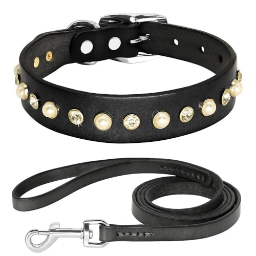 Einfarbiges Hundehalsband und Leine, Set aus echtem Leder, verstellbares Hundehalsband und Leine, Set für Chihuahua, Mops, Labrador, Französische Bulldogge, Schwarz, Größe XS von YHTAKF