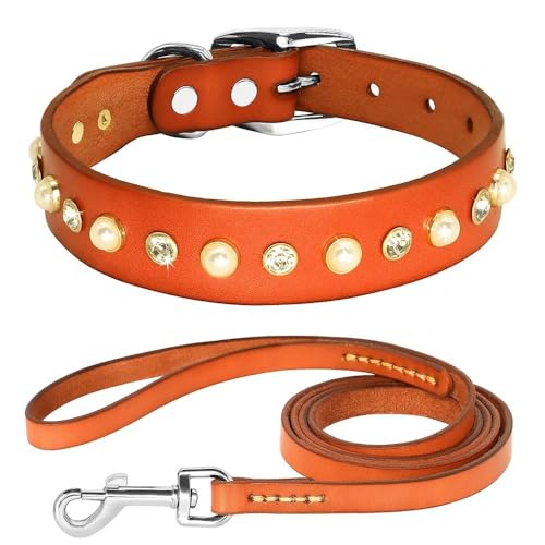 Einfarbiges Hundehalsband und Leine aus echtem Leder, verstellbares Hundehalsband und Leine, Set für Chihuahua, Mops, Labrador, Französische Bulldogge, Braun-Set, Größe M von YHTAKF