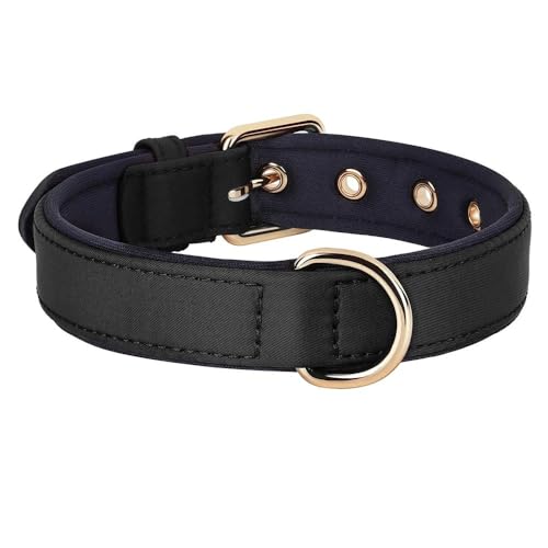 Einfarbiges Nylon-Hundehalsband, wasserdicht, gepolstert, atmungsaktiv, Haustierhalsband für Chihuahua, Mops, Schnauzer, Labrador, Französische Bulldogge, D, S Einfarbiges Nylon-Hundehalsband, wasserdicht, gepolstert, atmungsaktiv, Haustierhalsband für Chihuahua, Mops, Schnauzer, Labrador, Französische Bulldogge, D, S von HAQEPO