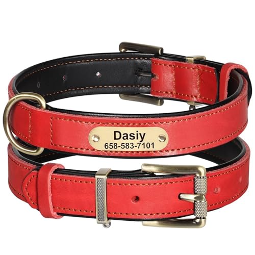 Gepolstertes Leder Mit ID -Namen Telefonnummer Tag Personalisiert Großer Hundekragen Für Shiba Inu Pitbull French Bulldog Greyhound,Rot,XL Gepolstertes Leder Mit ID -Namen Telefonnummer Tag Personalisiert Großer Hundekragen Für Shiba Inu Pitbull French Bulldog Greyhound,Rot,XL von HAQEPO