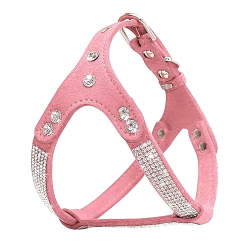 Glänzender Strassonstone Verstellbares Wildleder Kleiner Hundegierigkeit Vest Passt Chihuahua Französisch Bulldog Pug Yorkshire Terrier,A,S Glänzender Strassonstone Verstellbares Wildleder Kleiner Hundegierigkeit Vest Passt Chihuahua Französisch Bulldog Pug Yorkshire Terrier,A,S von HAQEPO