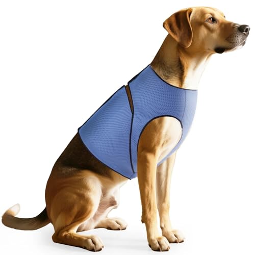 Hautfreundliches Hund Calming Hemd-Halten Sie Ihr Haustier Ruhig Yorkie Shiba Inu Labrador Bulldog Anti-Angst Jacke Weste,Bogen,Xs von HAQEPO