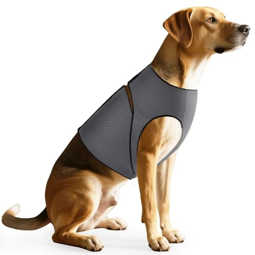 Hautfreundliches Hund Calming Hemd-Halten Sie Ihr Haustier Ruhig Yorkie Shiba Inu Labrador Bulldog Anti-Angst Jacke Weste,Grau,L Hautfreundliches Hund Calming Hemd-Halten Sie Ihr Haustier Ruhig Yorkie Shiba Inu Labrador Bulldog Anti-Angst Jacke Weste,Grau,L von HAQEPO