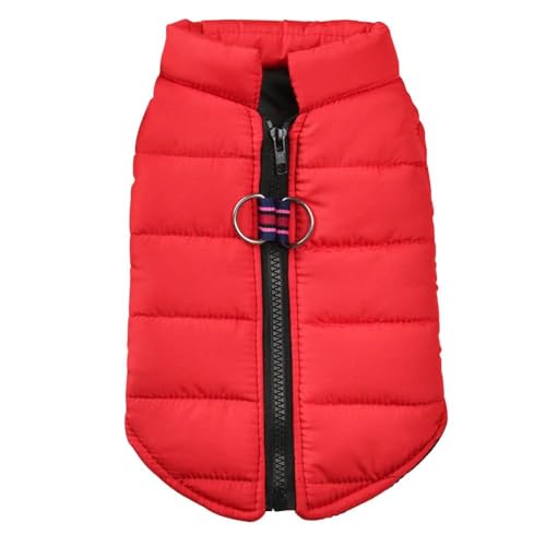 Herbst Und Winter, Warme Baumwoll-Hundejacke, Weste, Kleidung, Chihuahua-Mops-Kleidung, Weiche Und Bequeme Hundejacke, Mantel, Kleidung, Geeignet Für Kleine, Mittelgroße Hunde Und Katzen,Rot,2XL Herbst Und Winter, Warme Baumwoll-Hundejacke, Weste, Kleidung, Chihuahua-Mops-Kleidung, Weiche Und Bequeme Hundejacke, Mantel, Kleidung, Geeignet Für Kleine, Mittelgroße Hunde Und Katzen,Rot,2XL von HAQEPO