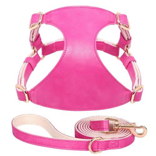 Hunde- Und Katzenwestengeschirr Aus Weichem PU-Leder Mit Leine, Verstellbares Haustiergeschirr Und Leine-Set Für Kleine Und Mittelgroße Hunde Und Katzen, Chihuahua,Rose,XS Hunde- Und Katzenwestengeschirr Aus Weichem PU-Leder Mit Leine, Verstellbares Haustiergeschirr Und Leine-Set Für Kleine Und Mittelgroße Hunde Und Katzen, Chihuahua,Rose,XS von YHTAKF