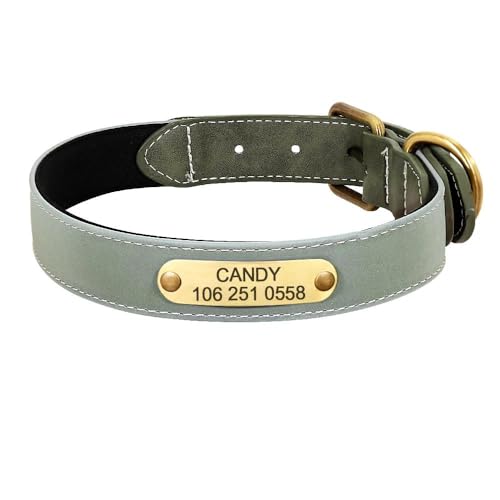 Hundehalsband, personalisierbar, mit Gravur, Leder, gepolstert, für den Außenbereich, reflektierend, verstellbar, Anti-Verlust-Halsband, Grün, Größe XL Hundehalsband, personalisierbar, mit Gravur, Leder, gepolstert, für den Außenbereich, reflektierend, verstellbar, Anti-Verlust-Halsband, Grün, Größe XL von YHTAKF