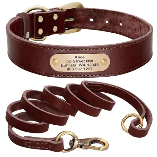 Hundehalsband aus Leder, mit Leine, personalisierbar, mit Namensschild, Halsband für Deutscher Schäferhund, Labrador, braunes Set, Größe M Hundehalsband aus Leder, mit Leine, personalisierbar, mit Namensschild, Halsband für Deutscher Schäferhund, Labrador, braunes Set, Größe M von HAQEPO