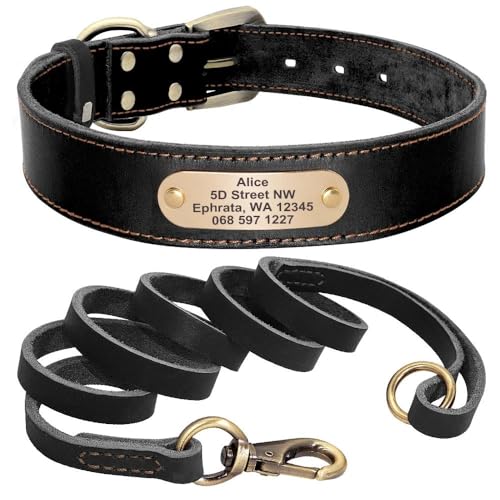 Hundehalsband aus Leder, mit Leine, personalisierbar, mit Namensschild, Halsband für Deutscher Schäferhund, Labrador, schwarzes Set, Größe XS Hundehalsband aus Leder, mit Leine, personalisierbar, mit Namensschild, Halsband für Deutscher Schäferhund, Labrador, schwarzes Set, Größe XS von HAQEPO