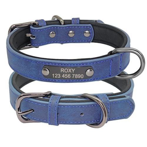 Hundehalsband aus Leder, personalisierbar, für kleine und mittelgroße Hunde, verstellbar, Anti-Verlust, PU-Leder, Französische Bulldogge, Mops, Chihuahua, Labrador, Blau, Größe XS Hundehalsband aus Leder, personalisierbar, für kleine und mittelgroße Hunde, verstellbar, Anti-Verlust, PU-Leder, Französische Bulldogge, Mops, Chihuahua, Labrador, Blau, Größe XS von HAQEPO