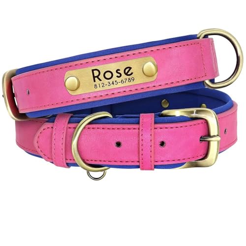 Hundehalsband aus PU-Leder, personalisierbar, mit Gravur, Namensschild, Katzen- und Hundehalsband, gepolstert, verstellbar, Anti-Verlust, für kleine, mittelgroße und große Hunde, Rosenrot, Größe M Hundehalsband aus PU-Leder, personalisierbar, mit Gravur, Namensschild, Katzen- und Hundehalsband, gepolstert, verstellbar, Anti-Verlust, für kleine, mittelgroße und große Hunde, Rosenrot, Größe M von HAQEPO