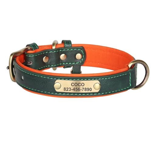 Hundehalsband aus PU-Leder, personalisierbar, mit ID-Tag, Namensschild, weich, bequem, verstellbar, für Labrador, Chihuahua, Mops, Grün, Größe XS Hundehalsband aus PU-Leder, personalisierbar, mit ID-Tag, Namensschild, weich, bequem, verstellbar, für Labrador, Chihuahua, Mops, Grün, Größe XS von HAQEPO