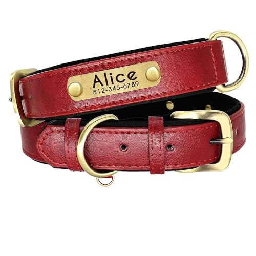 Hundehalsband aus PU-Leder, personalisierbar, personalisierbar, mit Gravur, Namensschild, Katzen- und Hundehalsband, gepolstert, verstellbar, Anti-Verlust, für kleine, mittelgroße und große Hunde, Hundehalsband aus PU-Leder, personalisierbar, personalisierbar, mit Gravur, Namensschild, Katzen- und Hundehalsband, gepolstert, verstellbar, Anti-Verlust, für kleine, mittelgroße und große Hunde, von HAQEPO