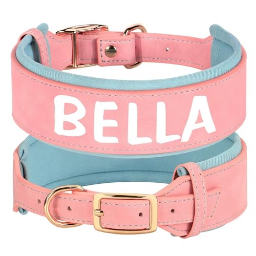 Hundehalsband für Haustiere, personalisierbar, breites Polster, PU-Leder, personalisierbar, Anti-Verlust, verstellbares Hundehalsband für kleine und mittelgroße Hunde, A, M Hundehalsband für Haustiere, personalisierbar, breites Polster, PU-Leder, personalisierbar, Anti-Verlust, verstellbares Hundehalsband für kleine und mittelgroße Hunde, A, M von HAQEPO