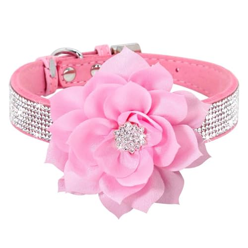 Hundehalsband mit glitzernden Strasssteinen, besetzt mit Strasssteinen, für Welpen, Katzen, mit Blumen, stilvoll, verstellbar, für Chihuahua, Mops, Labrador, A, L Hundehalsband mit glitzernden Strasssteinen, besetzt mit Strasssteinen, für Welpen, Katzen, mit Blumen, stilvoll, verstellbar, für Chihuahua, Mops, Labrador, A, L von HAQEPO