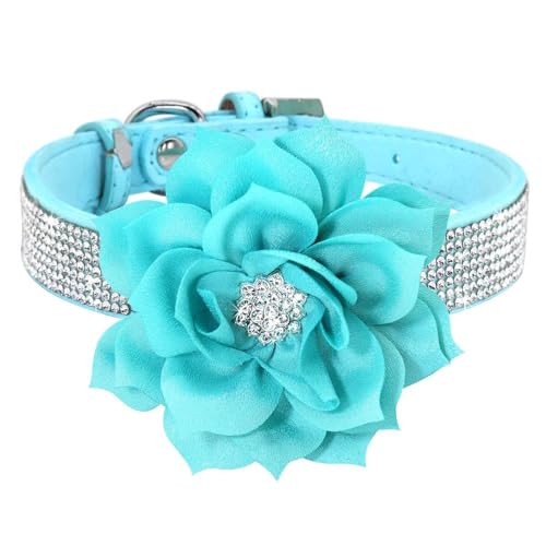 Hundehalsband mit glitzernden Strasssteinen, besetzt mit Strasssteinen, für Welpen, Katzen, mit Blumen, stilvoll, verstellbar, für Chihuahua, Mops, Labrador, Blau, Größe M Hundehalsband mit glitzernden Strasssteinen, besetzt mit Strasssteinen, für Welpen, Katzen, mit Blumen, stilvoll, verstellbar, für Chihuahua, Mops, Labrador, Blau, Größe M von HAQEPO