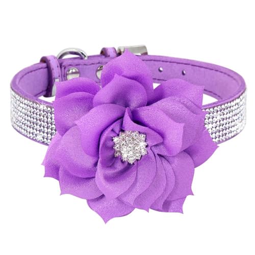 Hundehalsband mit glitzernden Strasssteinen, besetzt mit Strasssteinen, für Welpen, Katzen, mit Blumen, stilvoll, verstellbar, für Chihuahua, Mops, Labrador, Lila, Größe M Hundehalsband mit glitzernden Strasssteinen, besetzt mit Strasssteinen, für Welpen, Katzen, mit Blumen, stilvoll, verstellbar, für Chihuahua, Mops, Labrador, Lila, Größe M von HAQEPO