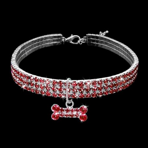 Hundehalsband mit glitzernden Strasssteinen, verstellbar, Chihuahua, Mops, Nieten, Strasssteine, Haustierhalsband für kleine und mittelgroße Hunde, Chihuahua, Mops, Labrador, A, S Hundehalsband mit glitzernden Strasssteinen, verstellbar, Chihuahua, Mops, Nieten, Strasssteine, Haustierhalsband für kleine und mittelgroße Hunde, Chihuahua, Mops, Labrador, A, S von HAQEPO