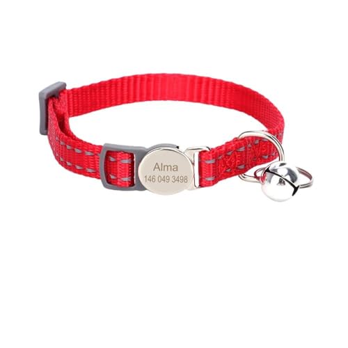 Hundehalsband mit individuellem Gravur, personalisierbar, Haustiername, Katze, Hund, mit Anti-Verlust, DIY-Tag, Glocke, Haustierhalsband für Chihuahua, Mops, Labrador, D Hundehalsband mit individuellem Gravur, personalisierbar, Haustiername, Katze, Hund, mit Anti-Verlust, DIY-Tag, Glocke, Haustierhalsband für Chihuahua, Mops, Labrador, D von YHTAKF
