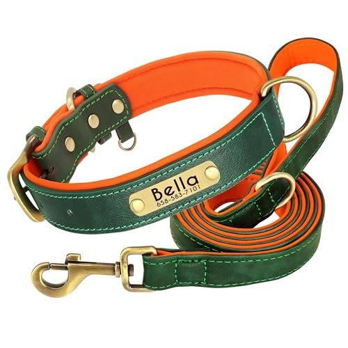 Hundehalsband und Leine, aus PU-Leder, individuell graviert, verstellbar, Anti-Verlust-Halsband und Leine, Set aus weichem und bequemem, einfarbigem Leder, Grün, Größe M Hundehalsband und Leine, aus PU-Leder, individuell graviert, verstellbar, Anti-Verlust-Halsband und Leine, Set aus weichem und bequemem, einfarbigem Leder, Grün, Größe M von HAQEPO