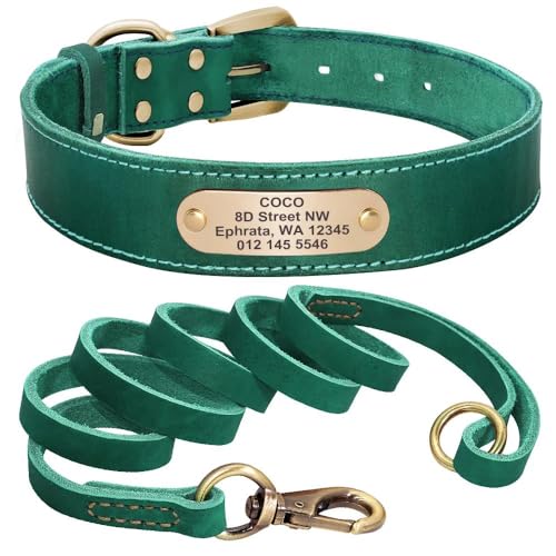 Hundehalsband und Leine, aus echtem Leder, personalisierbar, Set mit Hundehalsband und Leine, für Spaziergänge, Trainingsleine für Pitbull, Chihuahua, Mops, Labrador, Grün, Größe XL Hundehalsband und Leine, aus echtem Leder, personalisierbar, Set mit Hundehalsband und Leine, für Spaziergänge, Trainingsleine für Pitbull, Chihuahua, Mops, Labrador, Grün, Größe XL von HAQEPO