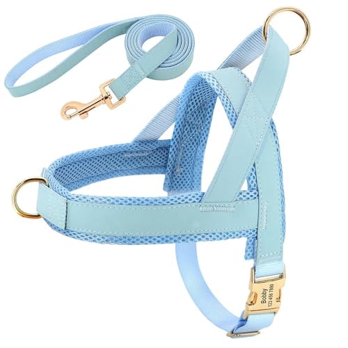 Individuell Graviertes Haustier-ID-Geschirr Und Leine-Set. Personalisiertes Hundegeschirr-Leinen-Set. Gepolsterte Hundegeschirr-Weste. Anti-Verlust-Nylon-Haustiergeschirr Und Leine-Set,Blau,XS von YHTAKF