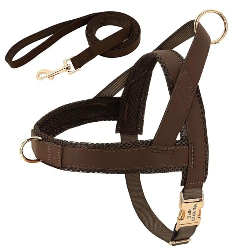 Individuell Graviertes Haustier-ID-Geschirr Und Leine-Set. Personalisiertes Hundegeschirr-Leinen-Set. Gepolsterte Hundegeschirr-Weste. Anti-Verlust-Nylon-Haustiergeschirr Und Leine-Set,Braun,M von YHTAKF
