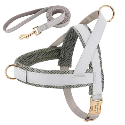 Individuell Graviertes Haustier-ID-Geschirr Und Leine-Set. Personalisiertes Hundegeschirr-Leinen-Set. Gepolsterte Hundegeschirr-Weste. Anti-Verlust-Nylon-Haustiergeschirr Und Leine-Set,Grau,XL von YHTAKF