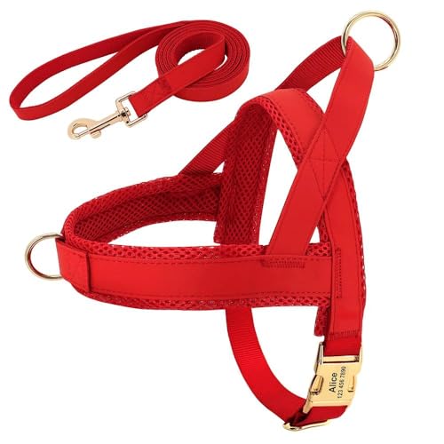 Individuell Graviertes Haustier-ID-Geschirr Und Leine-Set. Personalisiertes Hundegeschirr-Leinen-Set. Gepolsterte Hundegeschirr-Weste. Anti-Verlust-Nylon-Haustiergeschirr Und Leine-Set,Rot,L Individuell Graviertes Haustier-ID-Geschirr Und Leine-Set. Personalisiertes Hundegeschirr-Leinen-Set. Gepolsterte Hundegeschirr-Weste. Anti-Verlust-Nylon-Haustiergeschirr Und Leine-Set,Rot,L von HAQEPO