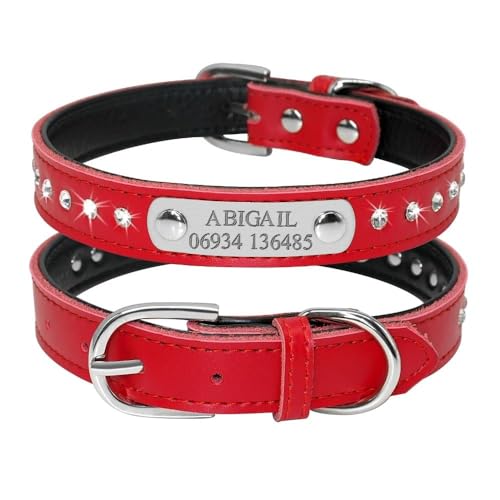 Katzenhalsband mit Namensschild, personalisierbares Hundehalsband, Leder, Haustierhalsband, Anti-Verlust, verstellbares PU-Lederhalsband für Chihuahua, Yorkie, Mops, Rot, Größe S Katzenhalsband mit Namensschild, personalisierbares Hundehalsband, Leder, Haustierhalsband, Anti-Verlust, verstellbares PU-Lederhalsband für Chihuahua, Yorkie, Mops, Rot, Größe S von HAQEPO
