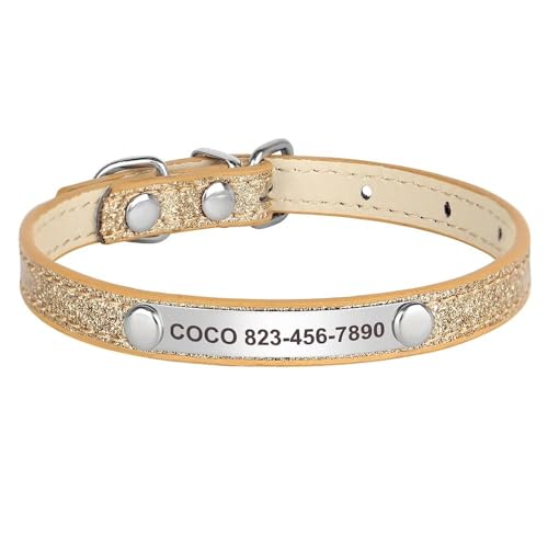 Leder-Katzenhalsband, personalisierbar, verstellbar, Anti-Verlust, Hunde- und Katzenmarke, Namensschild, Halsband für kleine Hunde und Katzen, Chihuahua, Mops, Gold, Größe M Leder-Katzenhalsband, personalisierbar, verstellbar, Anti-Verlust, Hunde- und Katzenmarke, Namensschild, Halsband für kleine Hunde und Katzen, Chihuahua, Mops, Gold, Größe M von YHTAKF